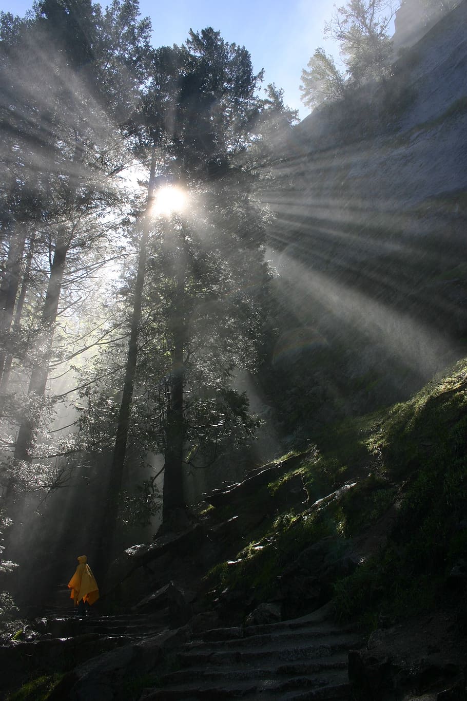 yosemite, nature, hiking, scenic, god's eye, sun rays, tree, plant, forest, beauty in nature