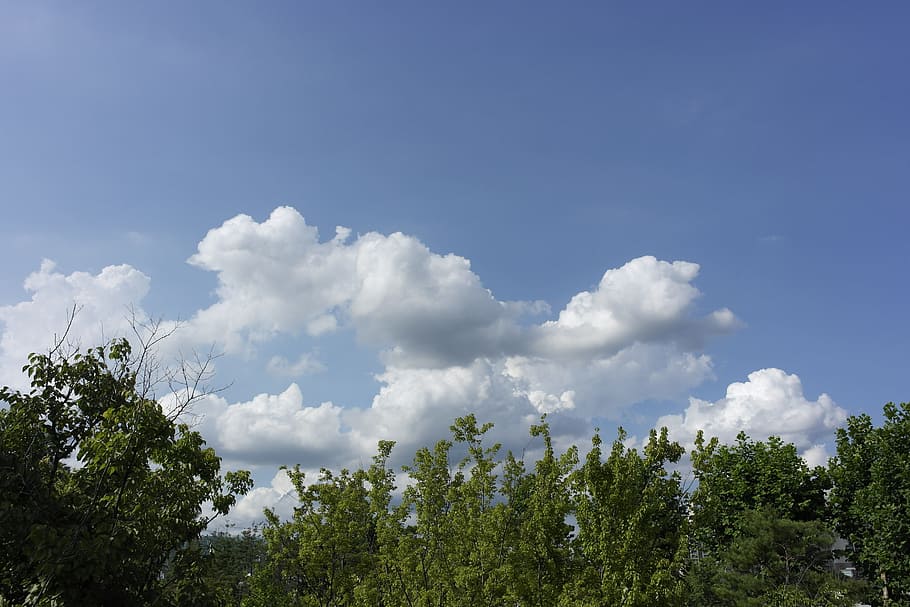 foto del cielo, nube, foto de las nubes, cielo, azul, madera, naturaleza, la naturaleza de la república de corea, paisajes, resumen