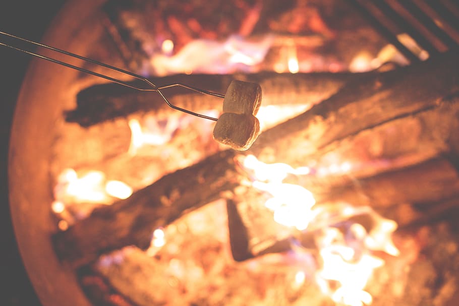 tostado, malvaviscos, hoguera, fuego, llamas, camping, madera, troncos, exteriores, primer plano