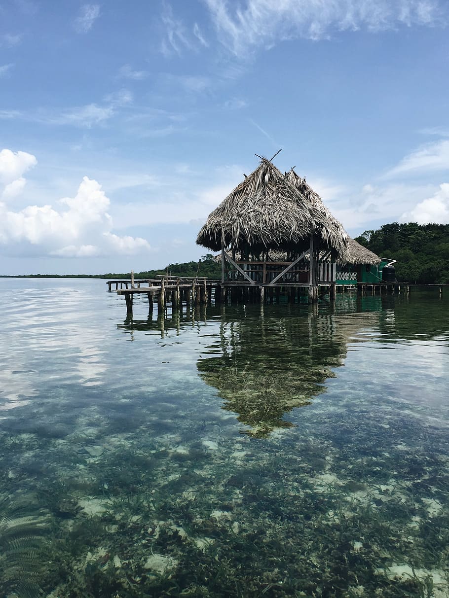 black, cottage, body, water, hut, vacation, clear, corals, nature, reflection