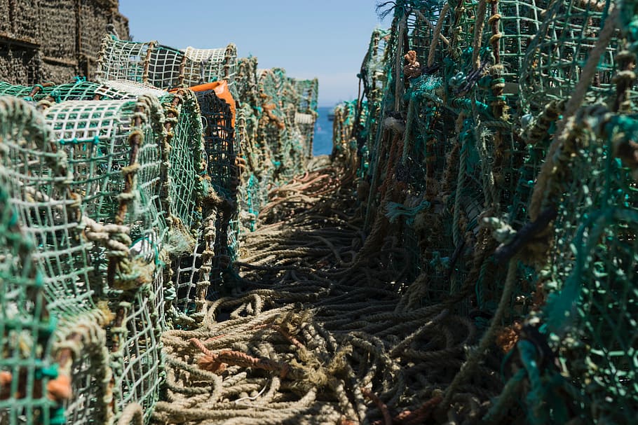 tanpa judul, memancing, jaring, tali, laut, cerah, hari, Industri penangkapan ikan, Perikanan jaring komersial, tidak ada orang