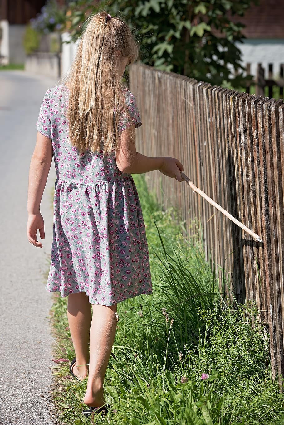 gadis, memegang, tongkat, berjalan, di samping, pagar, masa kecil, anak, lantai, musim panas