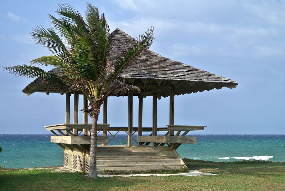brown, gazebo, beach, jamaica, beach hut, caribbean, palm, sea, palm tree, tropical climate