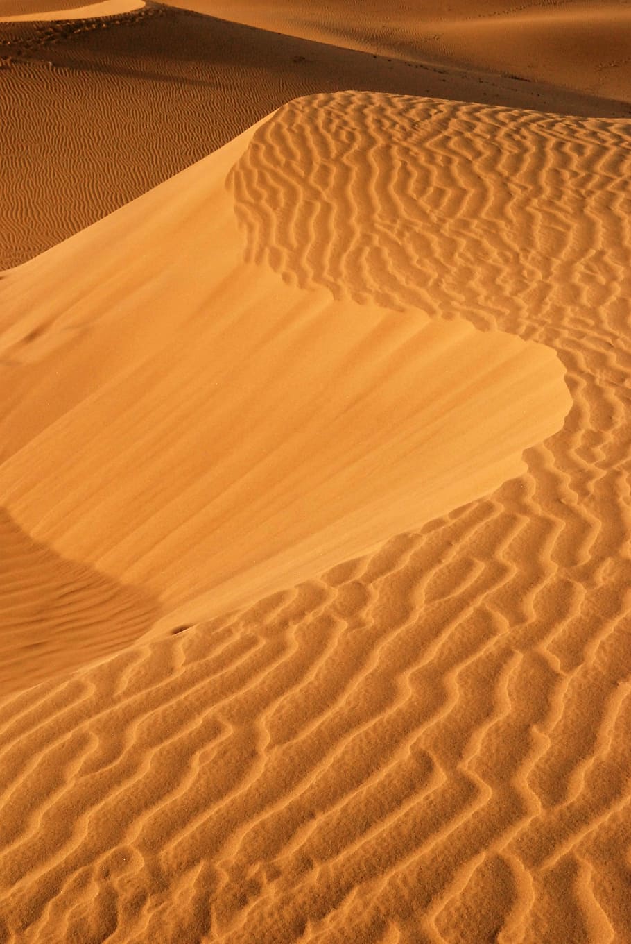 golden sand, sand dunes, desert, sand, sand dune, land, landscape, scenics - nature, climate, arid climate