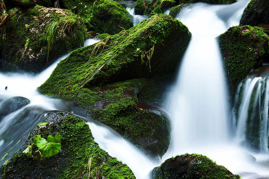 time lapse photography, waterfalls, creek, falls, flow, flowing, forest, green, landscape, moss