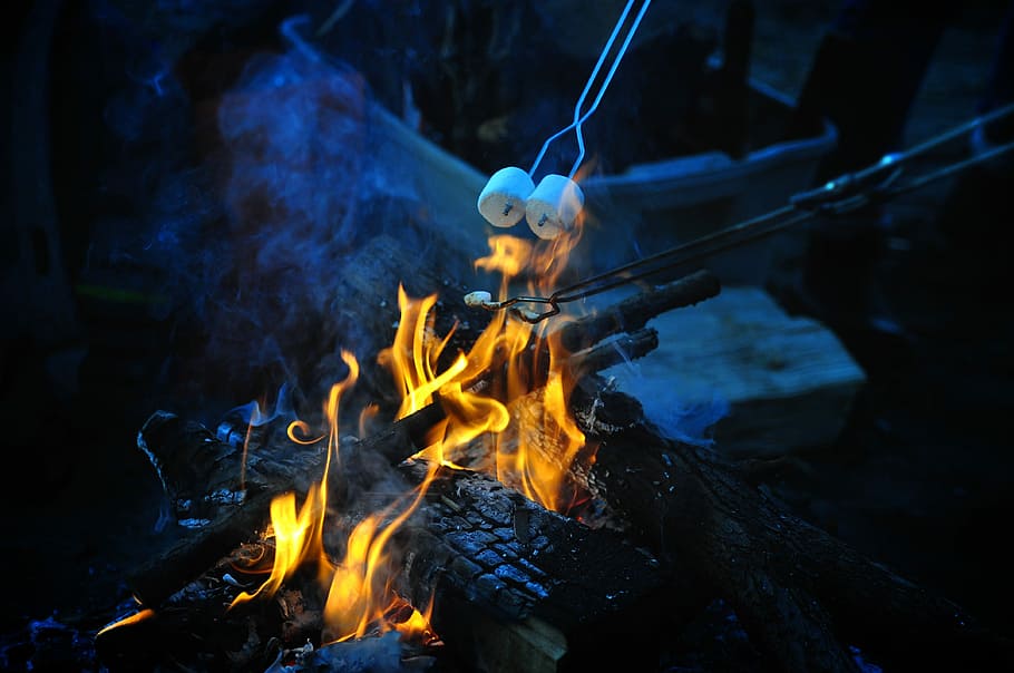 lighted bonfire, flame, smoke, heat, danger, inferno, marshmallow, hot, fire, energy
