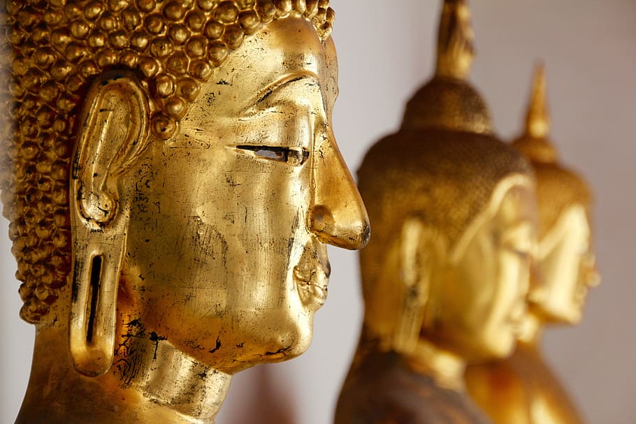 gold-colored buddha focus photography, bangkok, buddha, gold, meditation, buddhism, thailand, asia, temple, southeast
