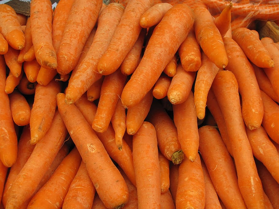 root, food, vegetable, carrot, grow, root vegetable, market, health, healthy, farming