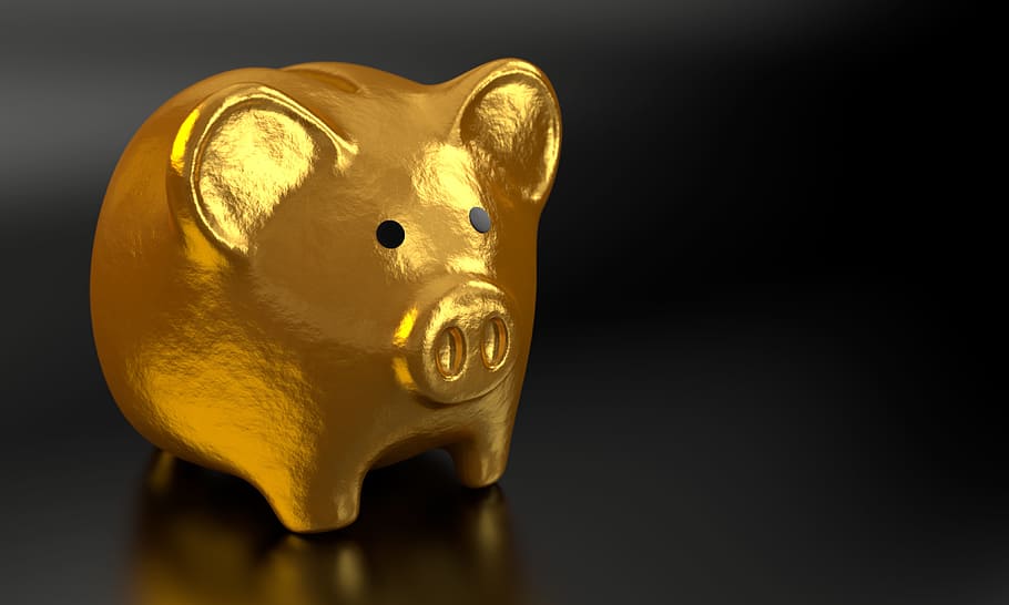 closeup, gold-colored pig figurine, piggy, bank, money, finance, business, banking, currency, piggy bank