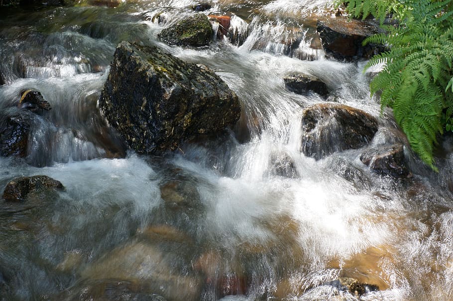 Todavía, agua, tranquilo, río, flotante, corriente, que fluye, natural, paisaje, roca