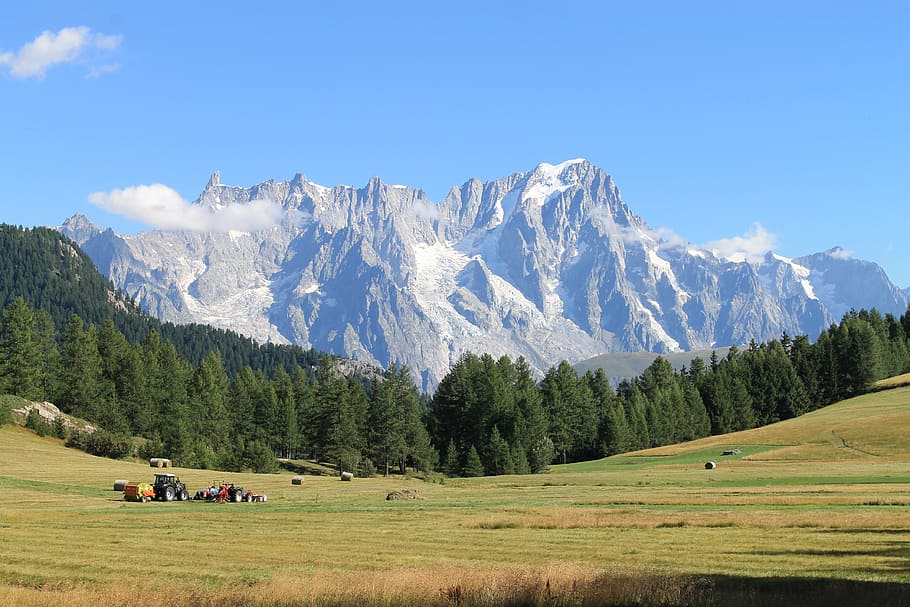mountains, fields, agriculture, alps, italy, mont blanc, mountain, scenics - nature, landscape, environment