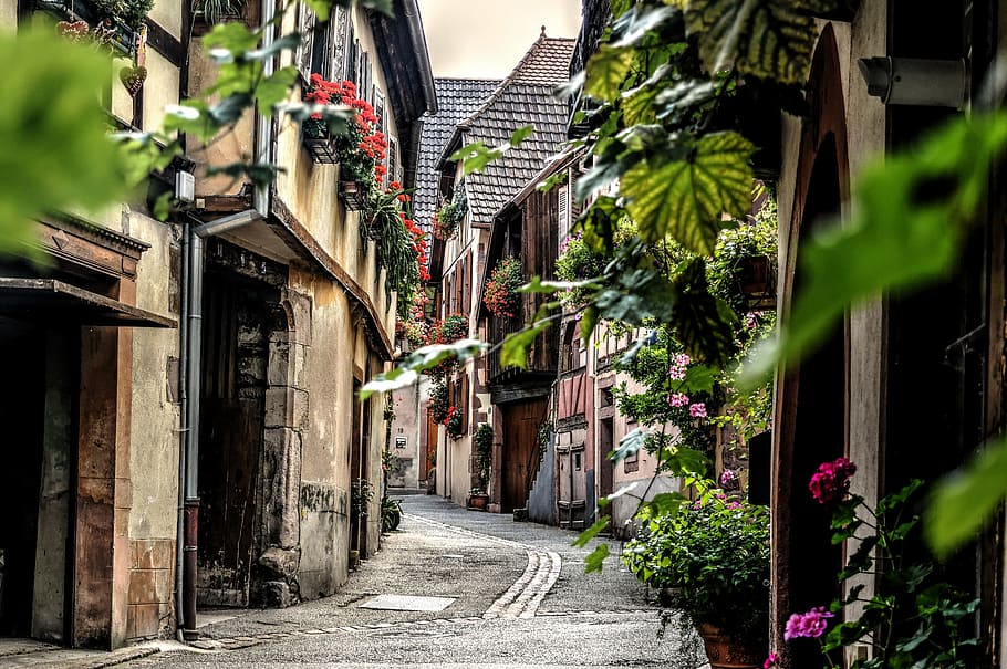 brown houses, street, colmar, half-timbered houses, village, silent, timber-framed, houses, architecture, building exterior