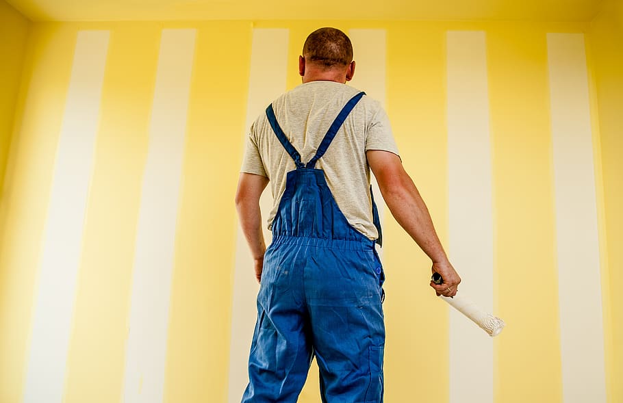 guy, man, painting, brush, roller, walls, overalls, work, construction, renovations