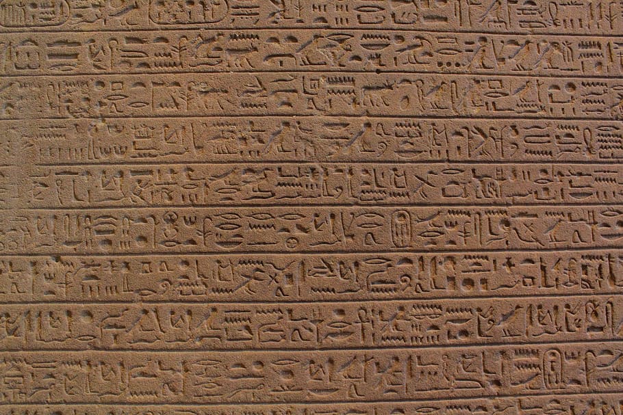 egyptian hieroglypics, text, egypt, pyramid, symbol, message, pattern, backgrounds, animal themes, close-up
