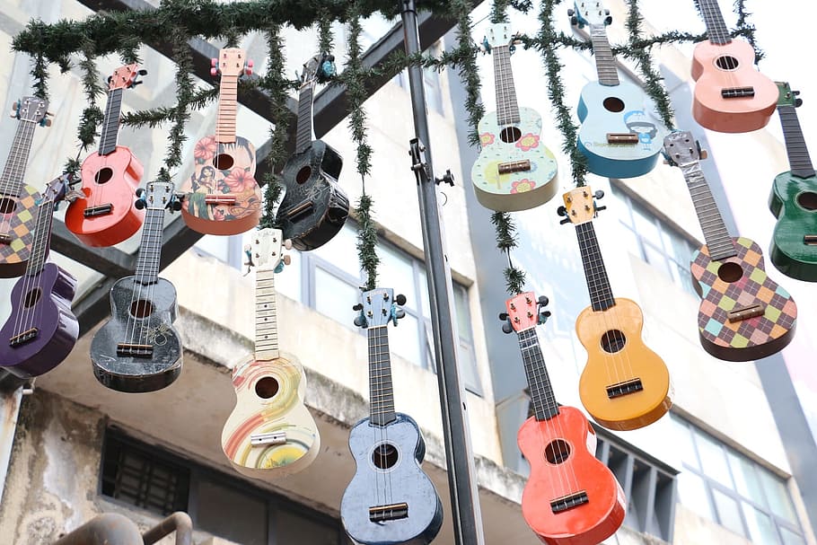 music, guitar, chengdu, day, string instrument, hanging, high angle view, arts culture and entertainment, still life, in a row