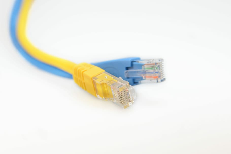 network, network cables, Network Cables, network, network connector, cable, patch cable, macro, rj45, yellow, blue