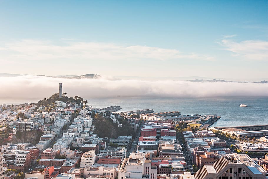 san francisco bay panorama, San Francisco Bay, Panorama, Coit Tower, architecture, big city, california, city, cityscapes, fog