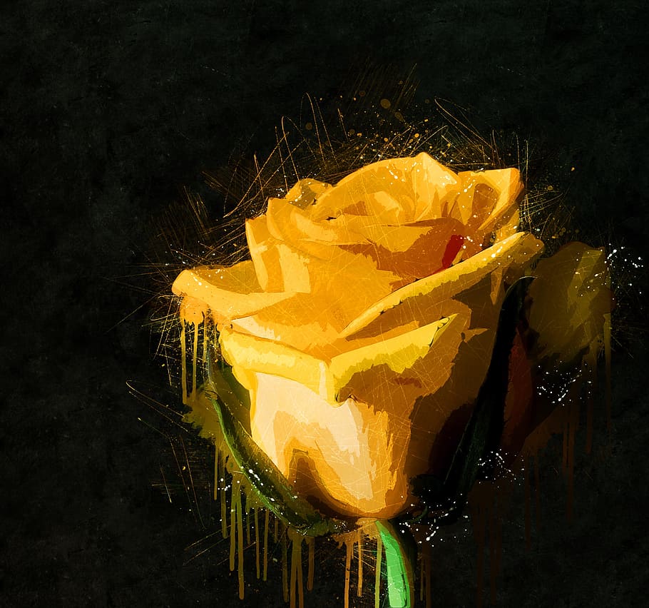 yellow, rose, flower painting, rose bloom, flowers, plant, roses, nature, floral, blossom