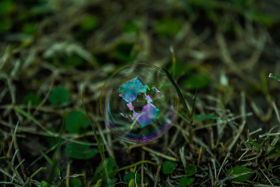 bolhas, água, reflexão, verde, grama, natureza, fragilidade, vulnerabilidade, close-up, esfera