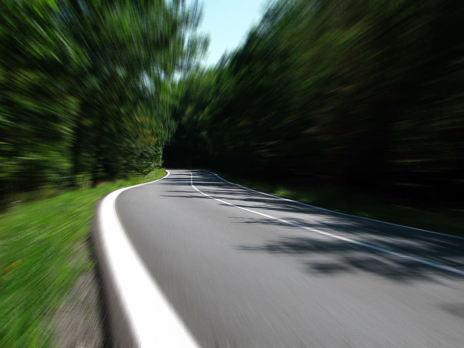 green, tree, road, daytime, speed, secondary road, country road, woods, moving, highway