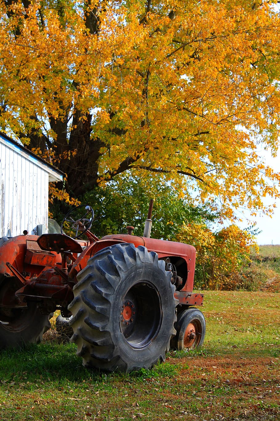 Tractor, Fall, Farm, Harvest, autumn, rural, nature, machinery, machine, equipment