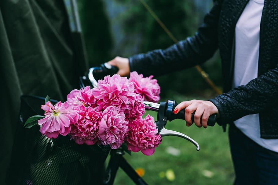 flores, flora, cesta, rosa, ramo, bicicleta, mujer, tenencia, hermosa, Flor