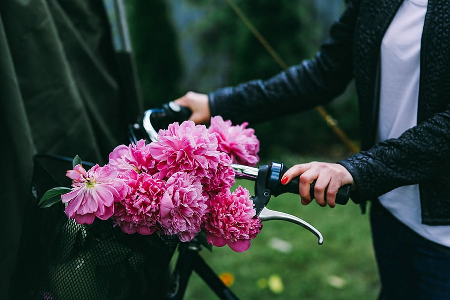 memegang, sepeda, indah, merah muda, bunga, keranjang, Wanita, flora, karangan bunga, orang
