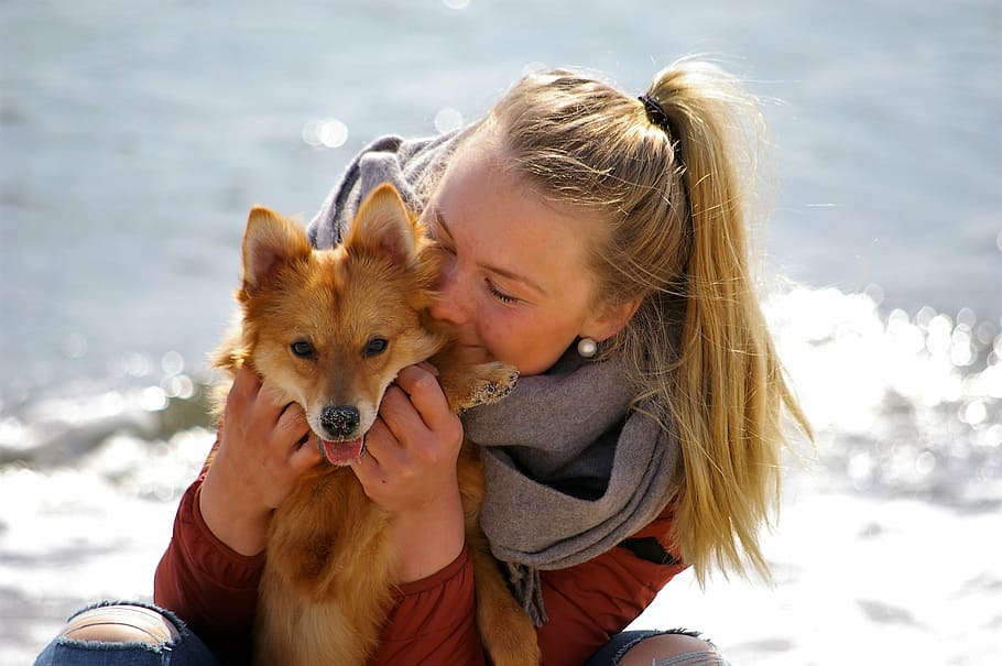 mujer, abrazos, spitz finlandés, sentado, perro, propina, afinidad, amigo, relación, alegría