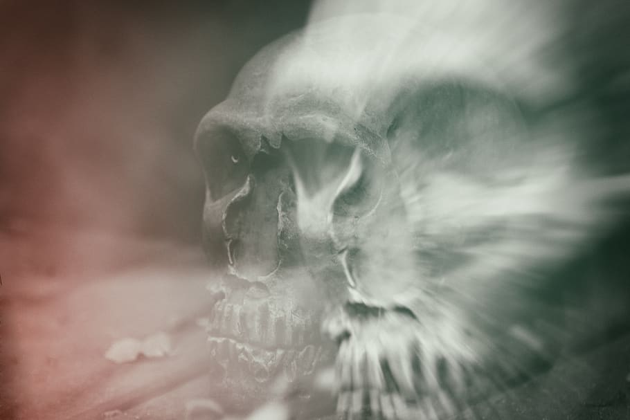 cráneo y huesos cruzados, doble exposición, muerte, cráneo, espeluznante, hueso, esqueleto, horror, gótico, halloween