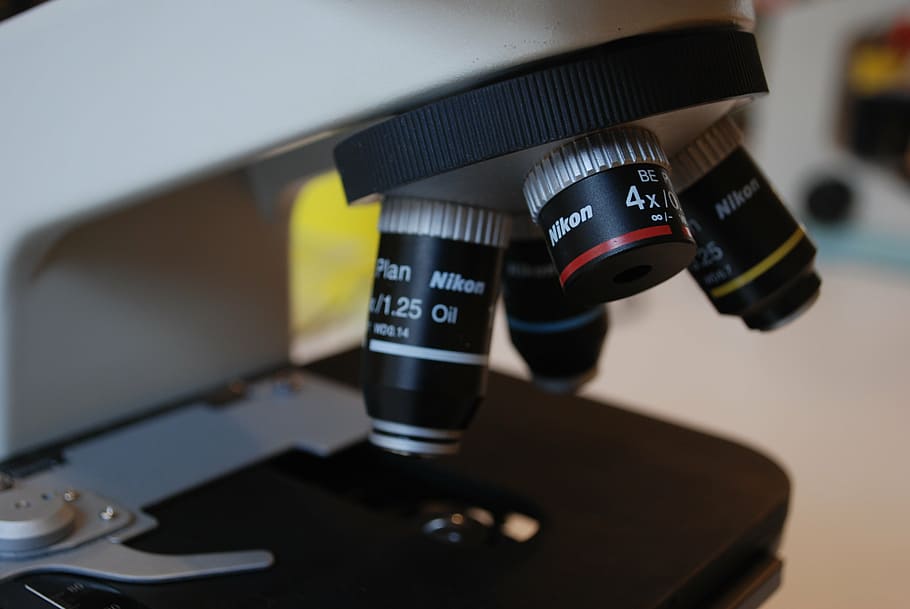 preto, branco, microscópio nikon, microscópio, laboratório, hospital, diagnóstico, equipamento, câmera - equipamento fotográfico, tecnologia