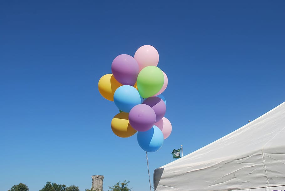 berbagai macam balon warna, di samping, putih, tenda, siang hari, balon, langit, adil, bergembira, bersenang-senang