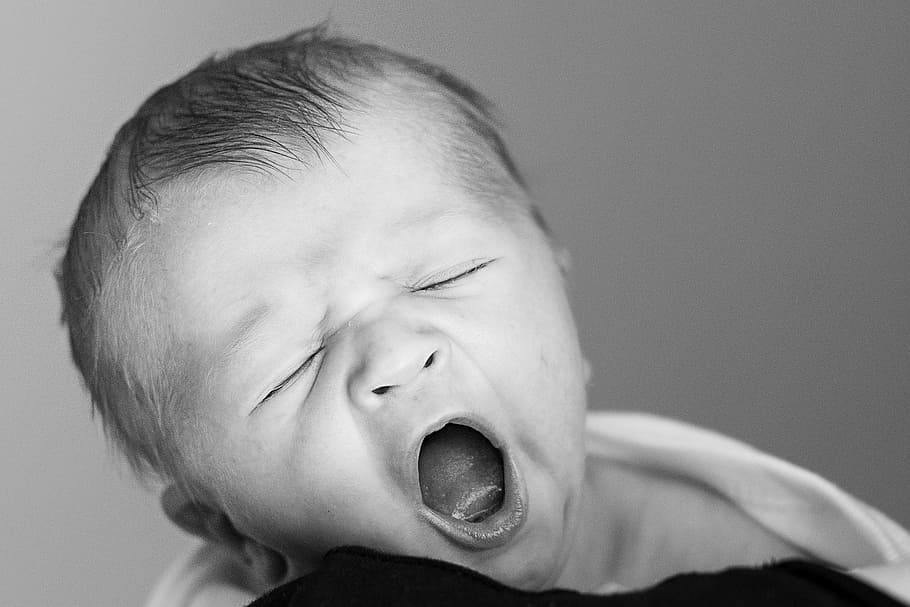 foto em escala de cinza, bocejando, bebê, recém-nascido, primeiros dias, primeiro ano, parentalidade, nova maternidade, criança, pessoas