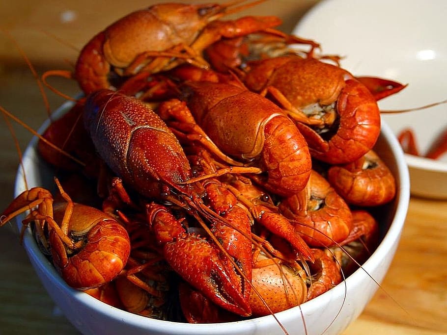 claws, crawfish, drink, food, food and drink, freshness, seafood, crustacean, healthy eating, wellbeing