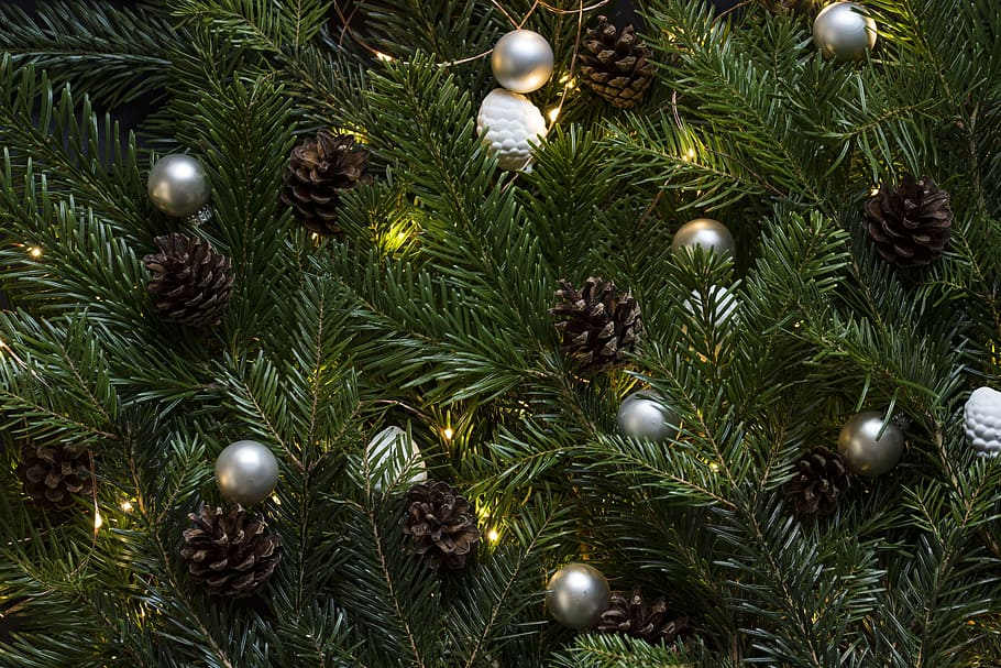 verde, guirnaldas, fotografía macro, pinetree, árbol de navidad, piñas, conos de cono, adornos, adornos de navidad, agujas de pino
