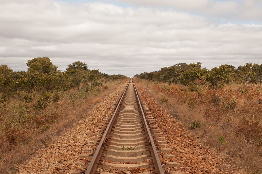 train, africa, zimbabwe, railway, endless, hwange, national, park, transport, landscape