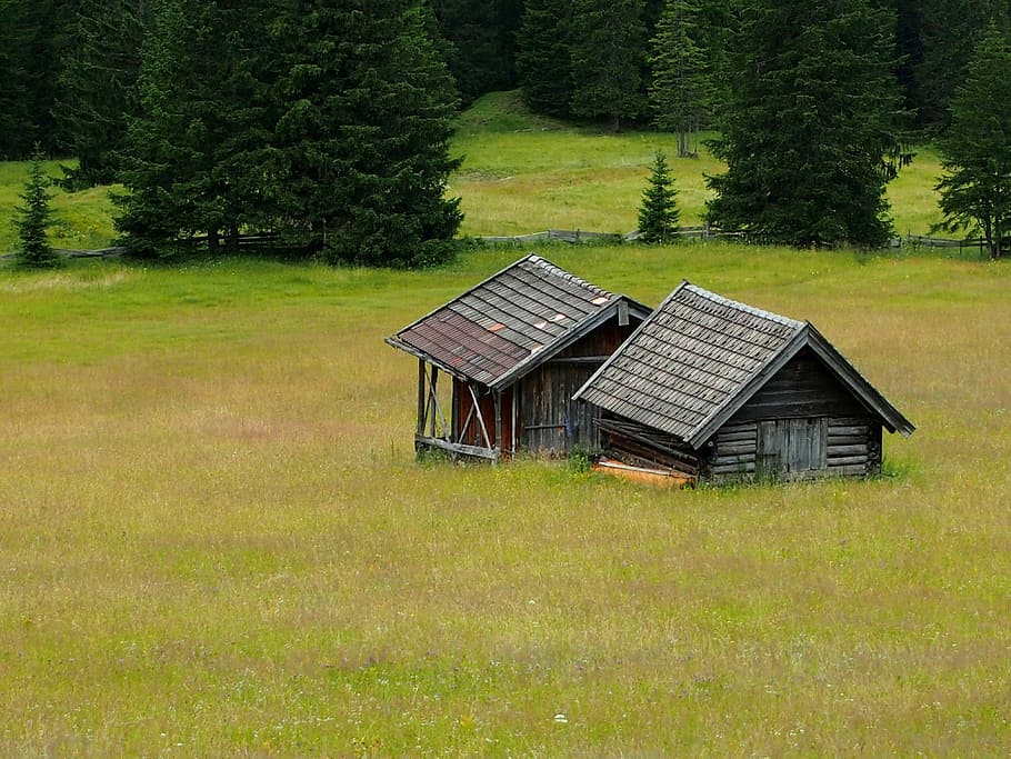 Meadow, Haystacks, Forest House, Alm, abandoned, built structure, grass, day, outdoors, plant