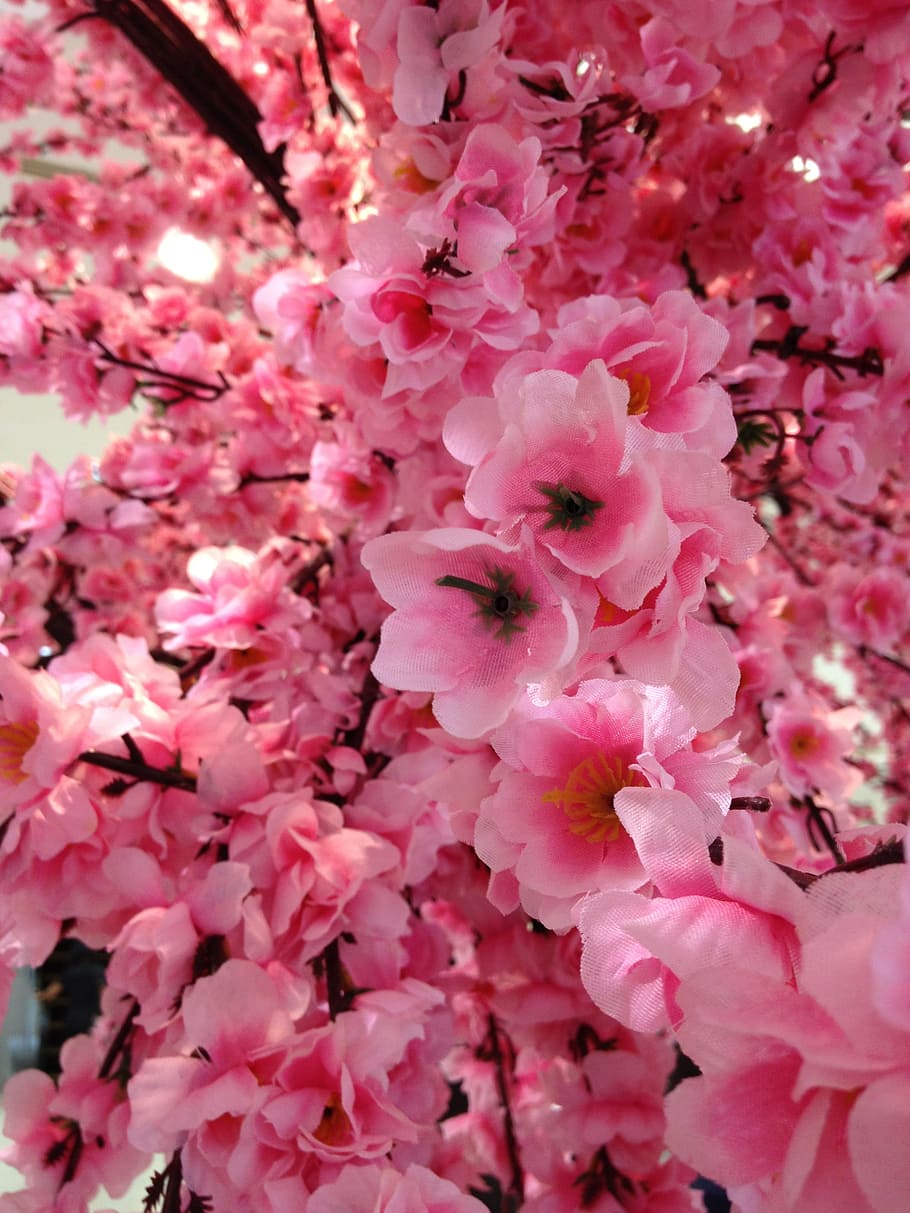 sakura, palsu, bunga, merah muda, mekar, buatan, ceri, tanaman berbunga, tanaman, warna pink