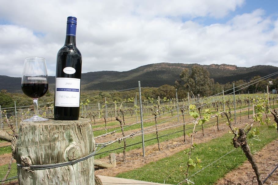 Wine, Grampians, Vineyard, Australia, country, countryside, tourism, landscape, grapes, scenery