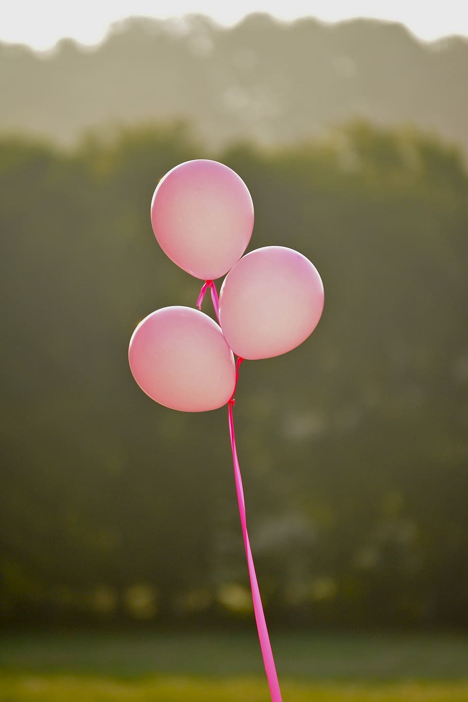 três balões rosa, rosa, balões rosa, câncer de mama, menina, fêmea, celebração, balões, alegre, feliz