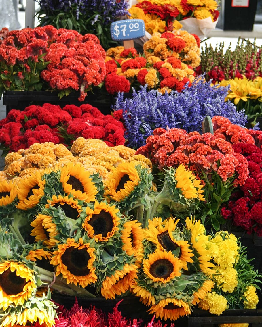 bunga, pasar jalanan, karangan bunga, outdoor, segar, warna-warni, mekar, pasar, alam, tanaman berbunga