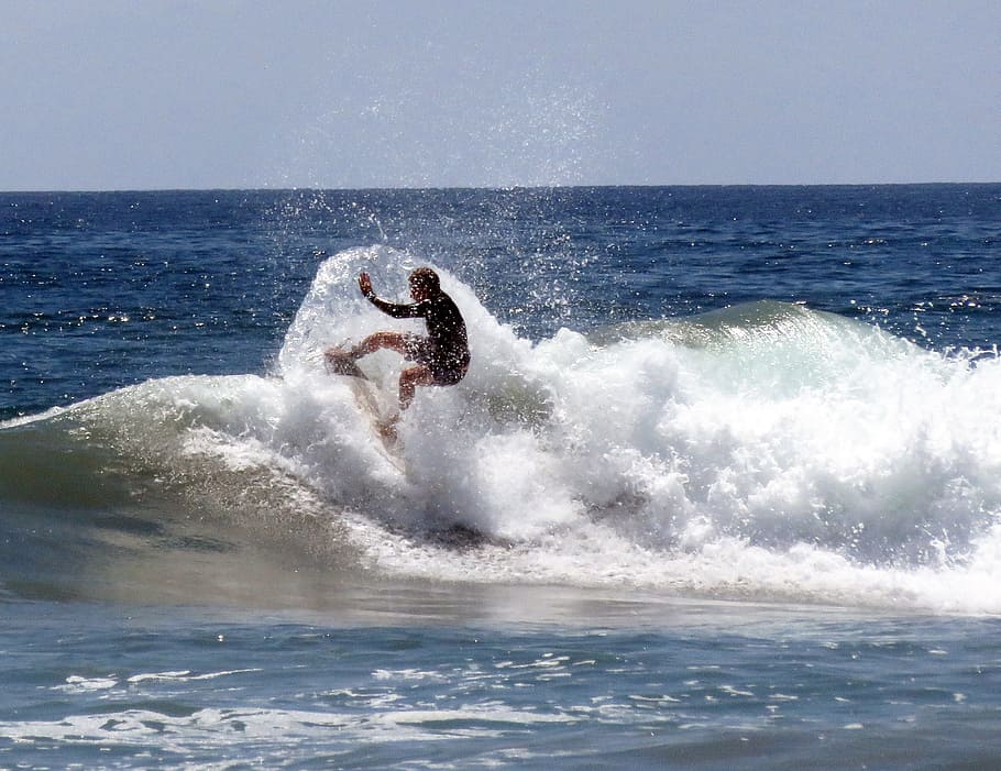 Surf, surfista, ola, traje de neopreno, playa, océano, verano, tabla, tabla de surf, mar