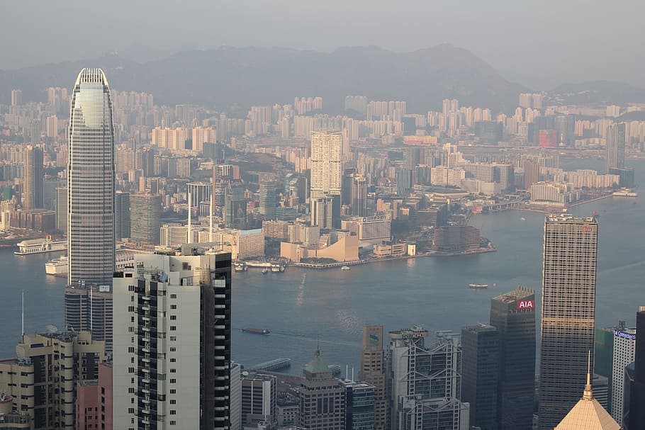 鳥, アイビュー写真, 高層, 建物, 香港, 都市の景観, ダウンタウン, ビジネス, 超高層ビル, 夜