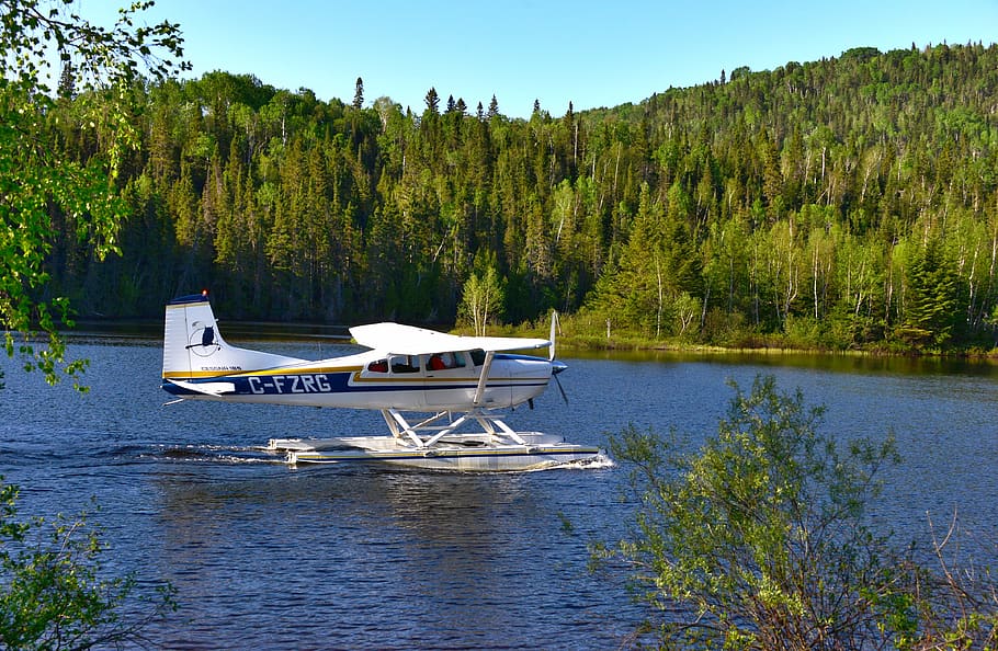 seaplane, nature, lake, water, landscape, trees, holiday, québec, canada, plant