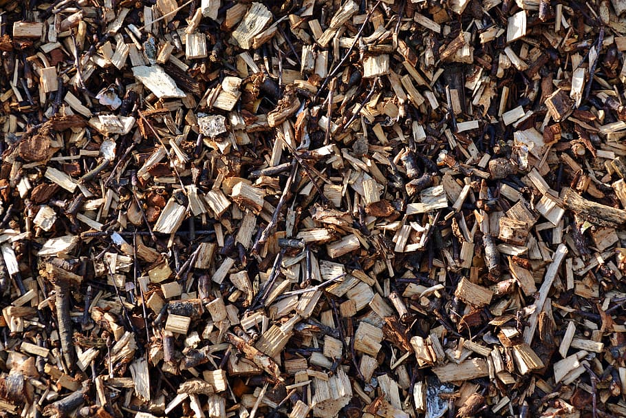Wood Chips, Firewood, Horticulture, pattern, garbage, backgrounds, close-up, macro, abundance, large group of animals