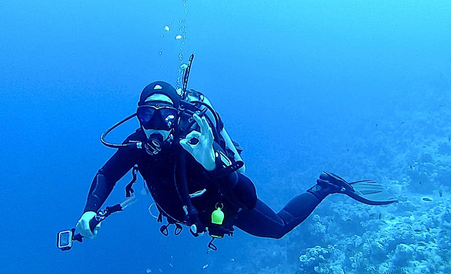 person scuba diving, diving, underwater, divers, water, underwater world, scuba diving, egypt, aquatic sport, sea
