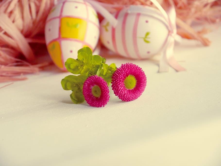 easter, easter image, easter eggs, daisy, easter greeting, romantic, spring, show me, egg, easter decorations