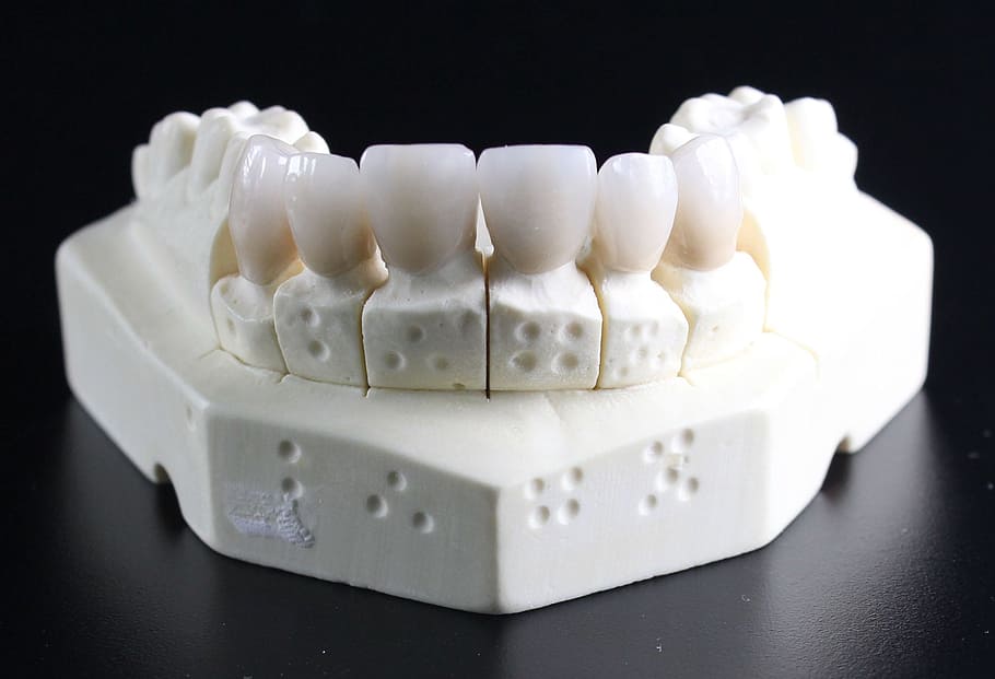white, denture, table, top, tooth replacement, tooth, dental technician, indoors, healthcare and medicine, studio shot