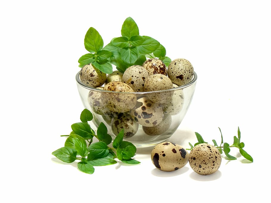 bunch, quail eggs, eggs, quail, mint, kitchen, food, freshness, leaf, organic