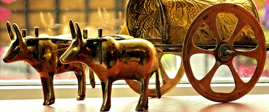ornamental oxen cart, metal, india, artistic, animal, animal themes, mammal, animal wildlife, animal representation, focus on foreground