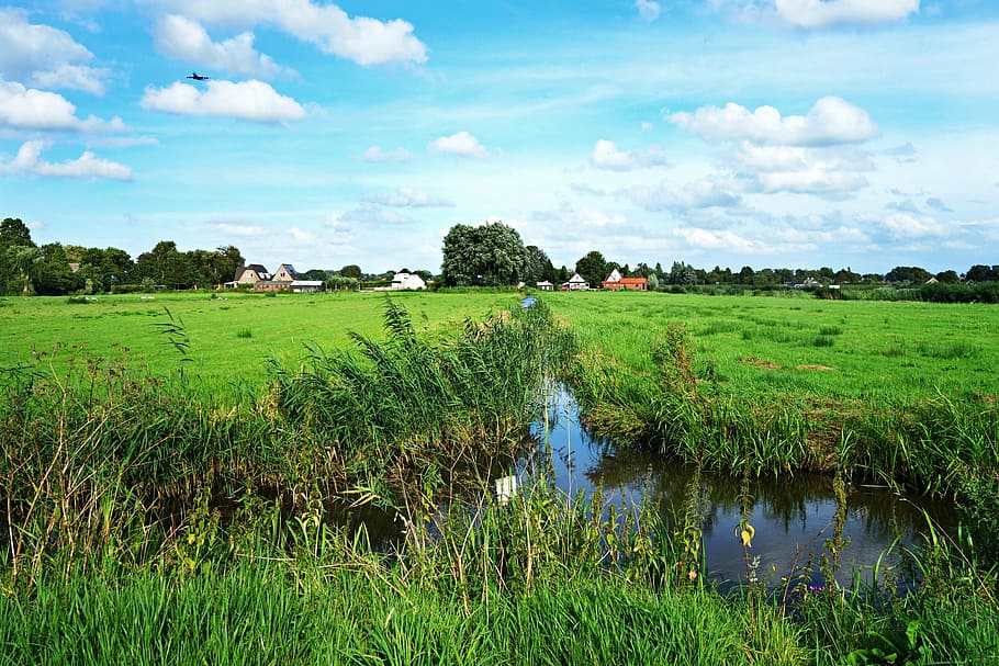 dutch landscape, landscape, polder, meadow, ditch, water, countryside, rural, horizon, grass